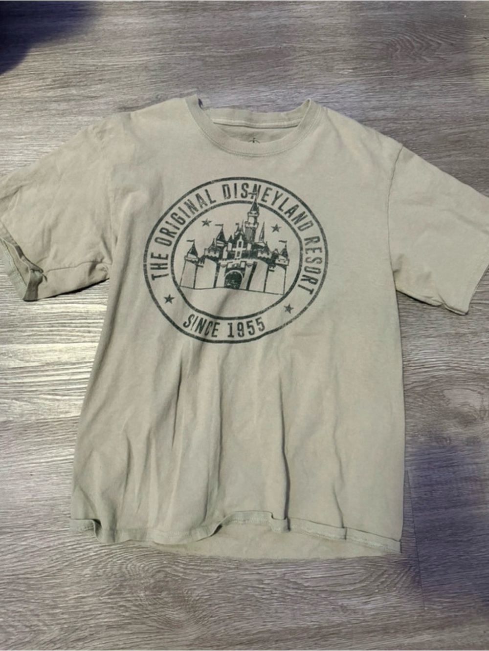 Disney Beige Graphic Tee with Castle Emblem